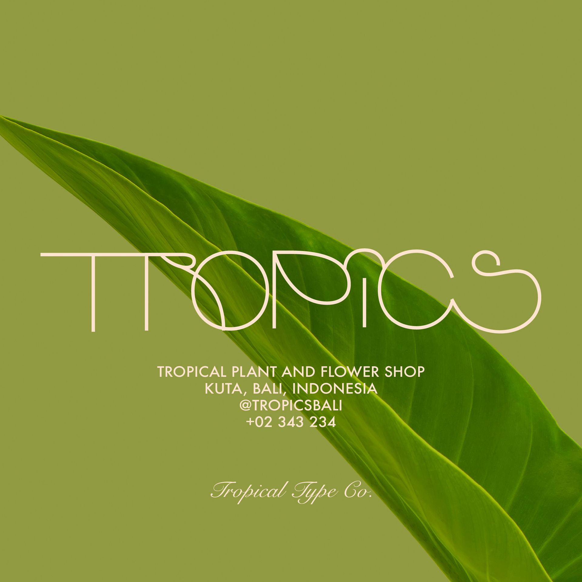 BONUS FONT PACK - FREE WITH $35 SPEND
