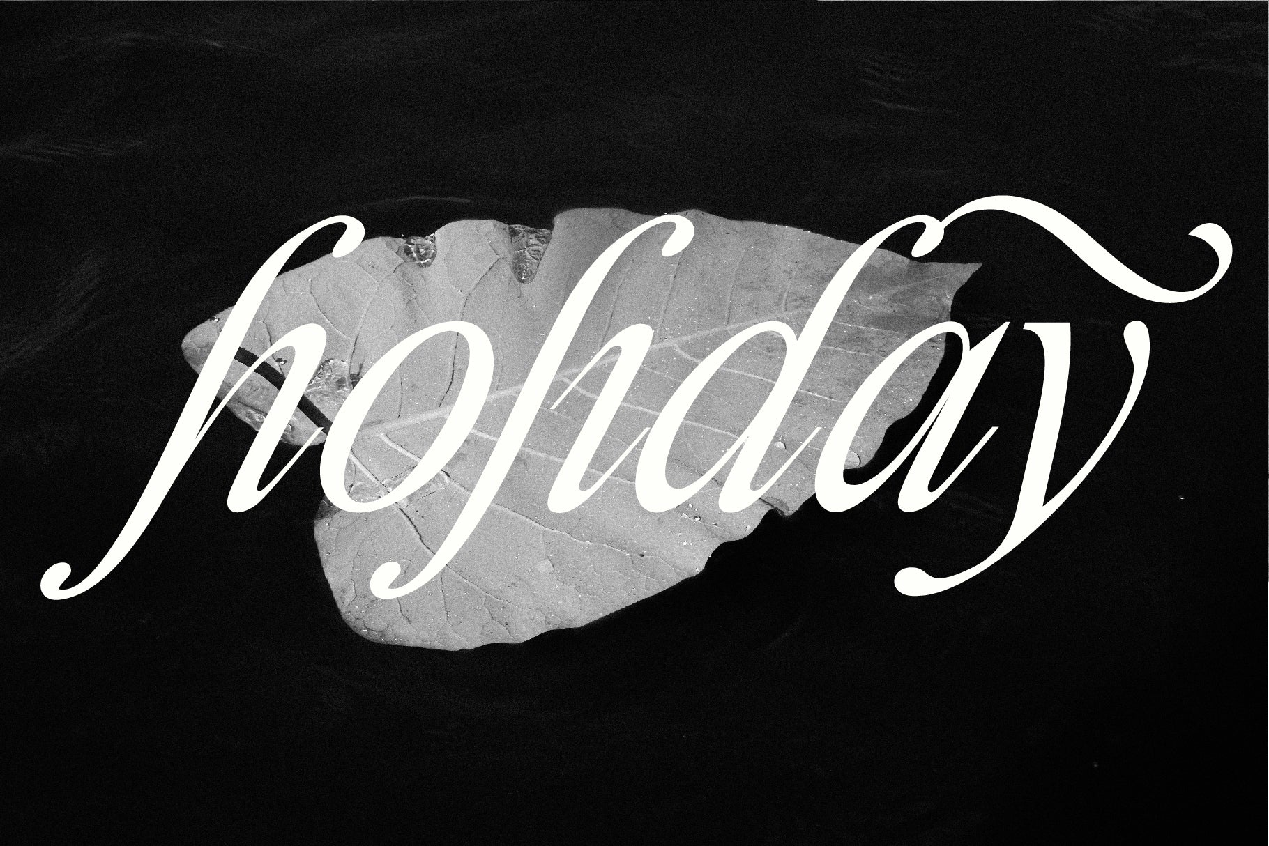 Display Font Collection