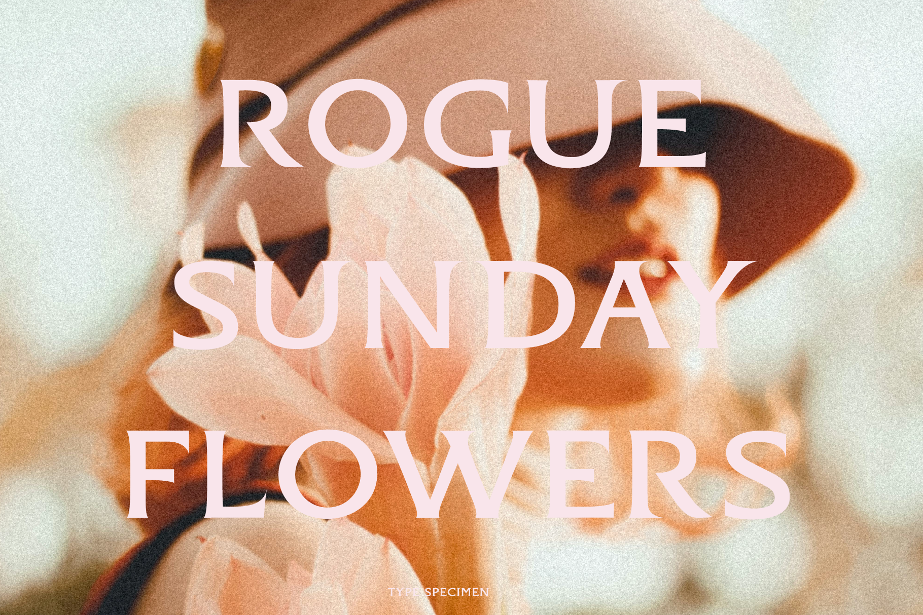Starc Serif