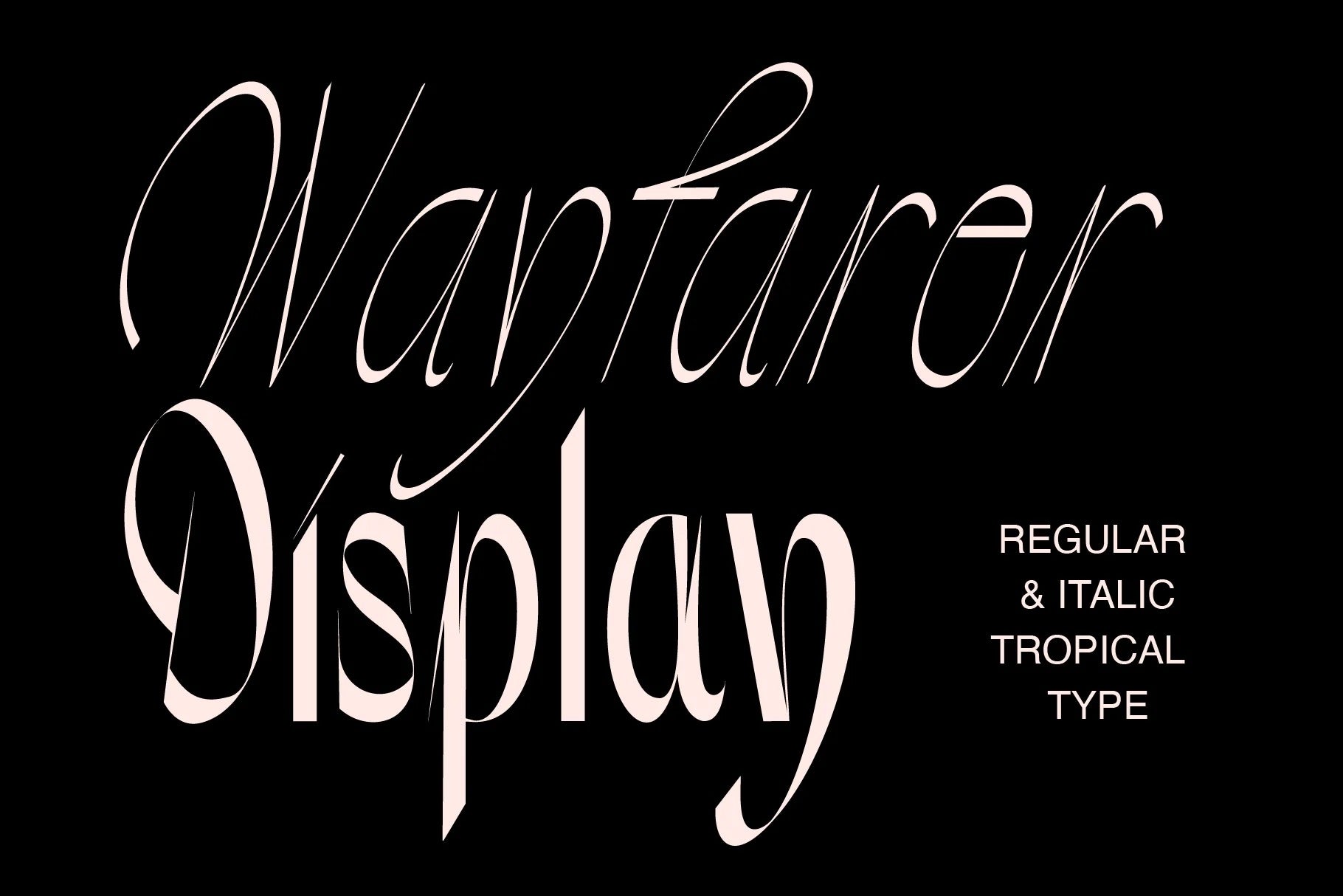 Eclectic Font Collection