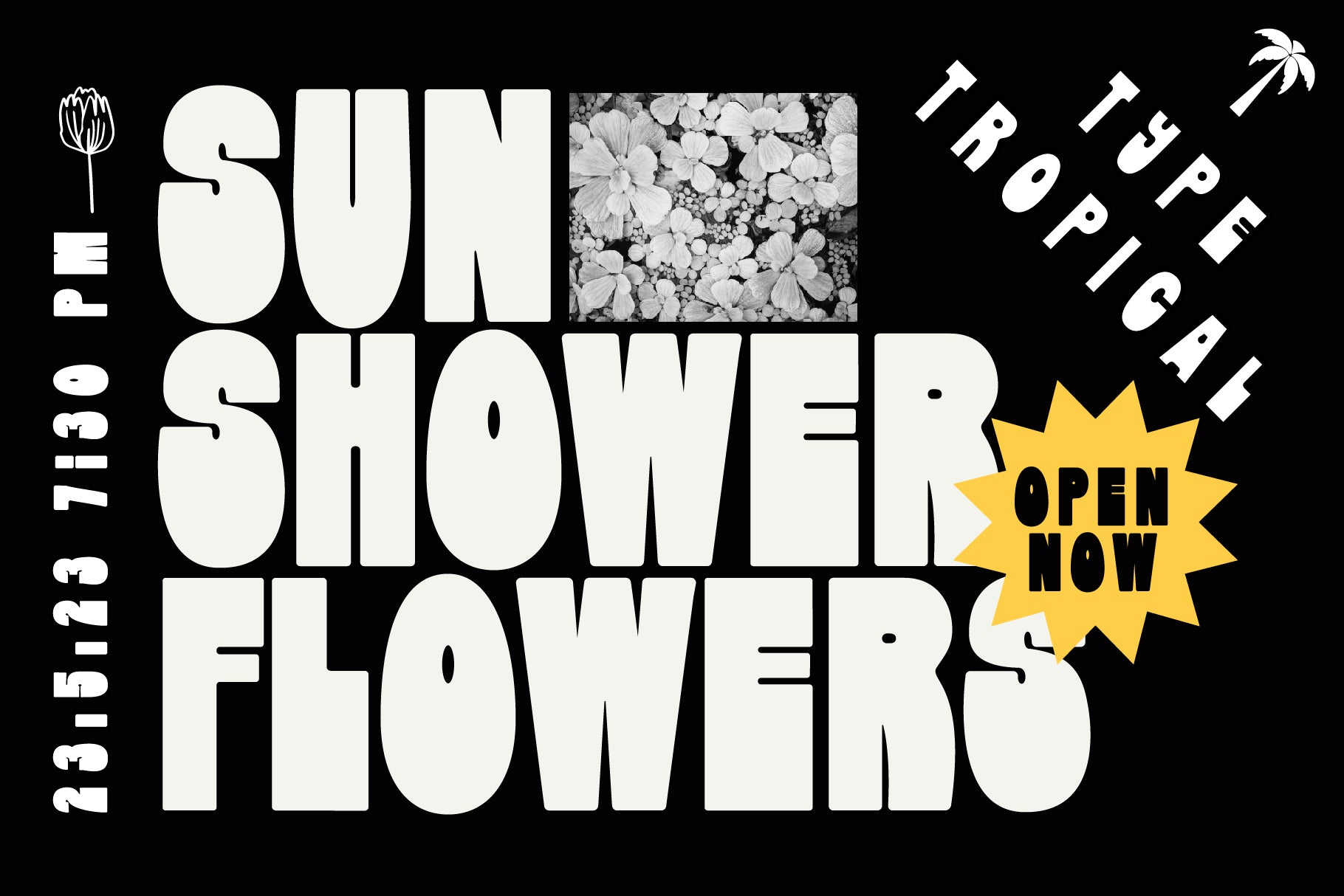 Display Font Collection