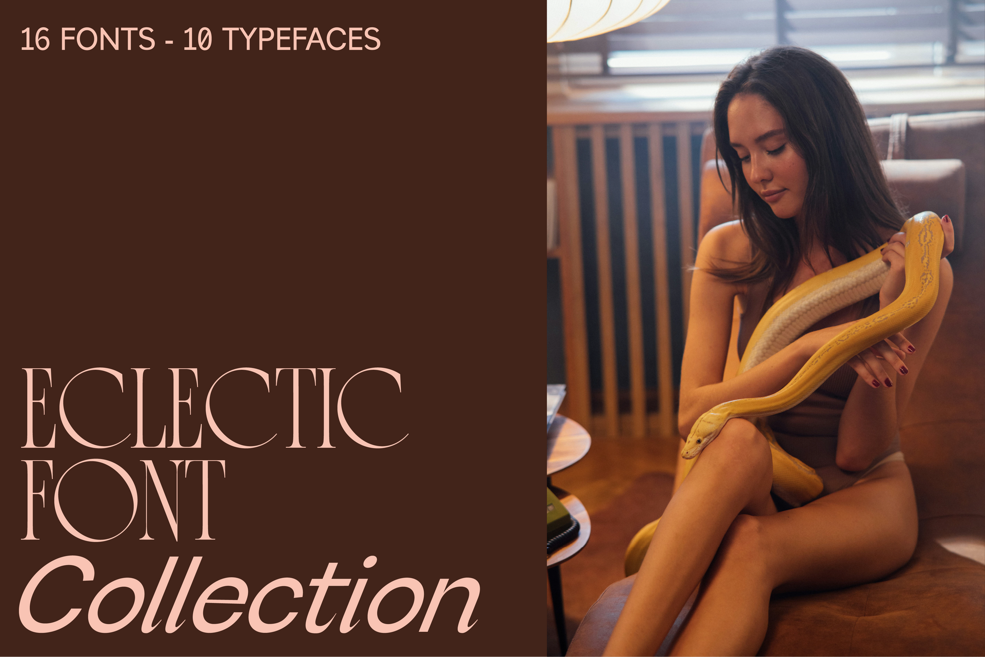 Eclectic Font Collection