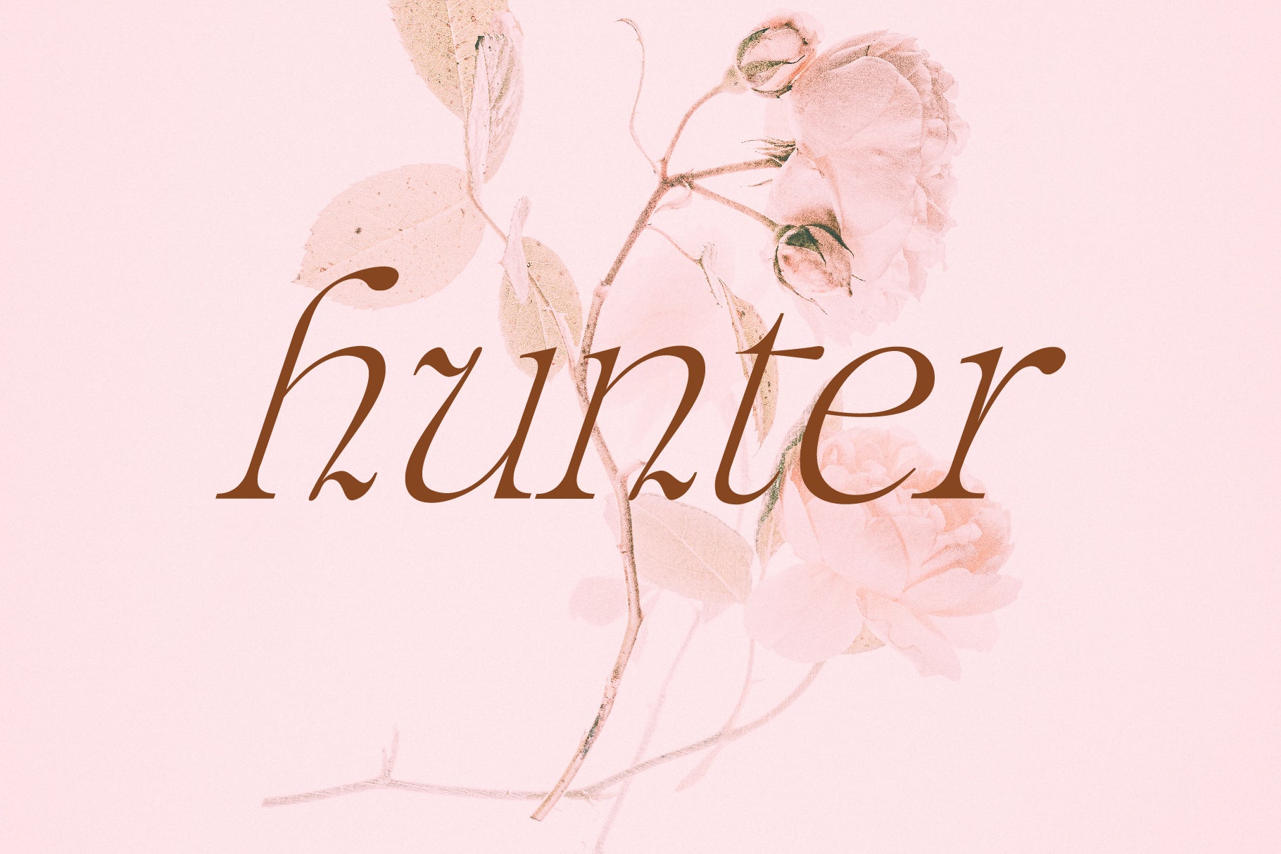 Fashion Font Collection