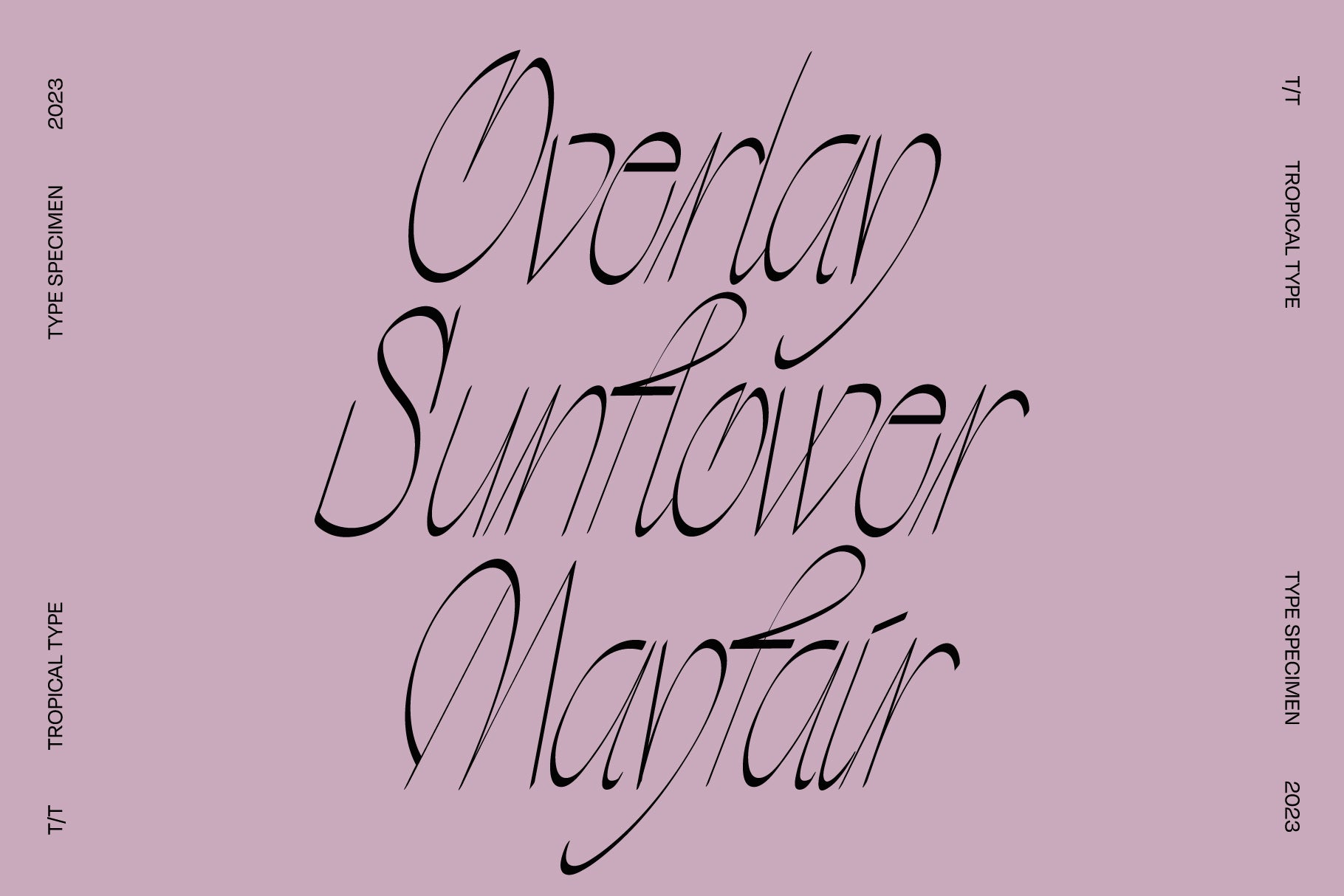 Wayfarer Display