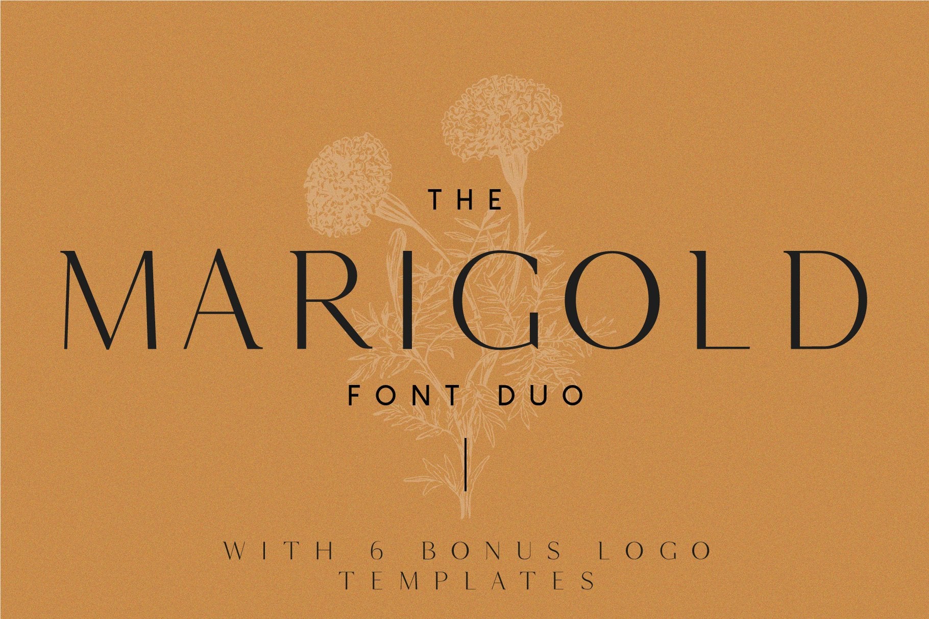 Fashion Font Collection