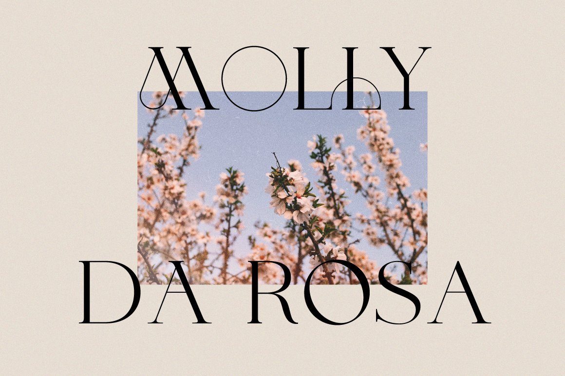 Fashion Font Collection