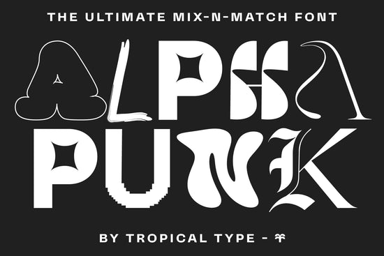 Alpha Punk - Mix and Match Font