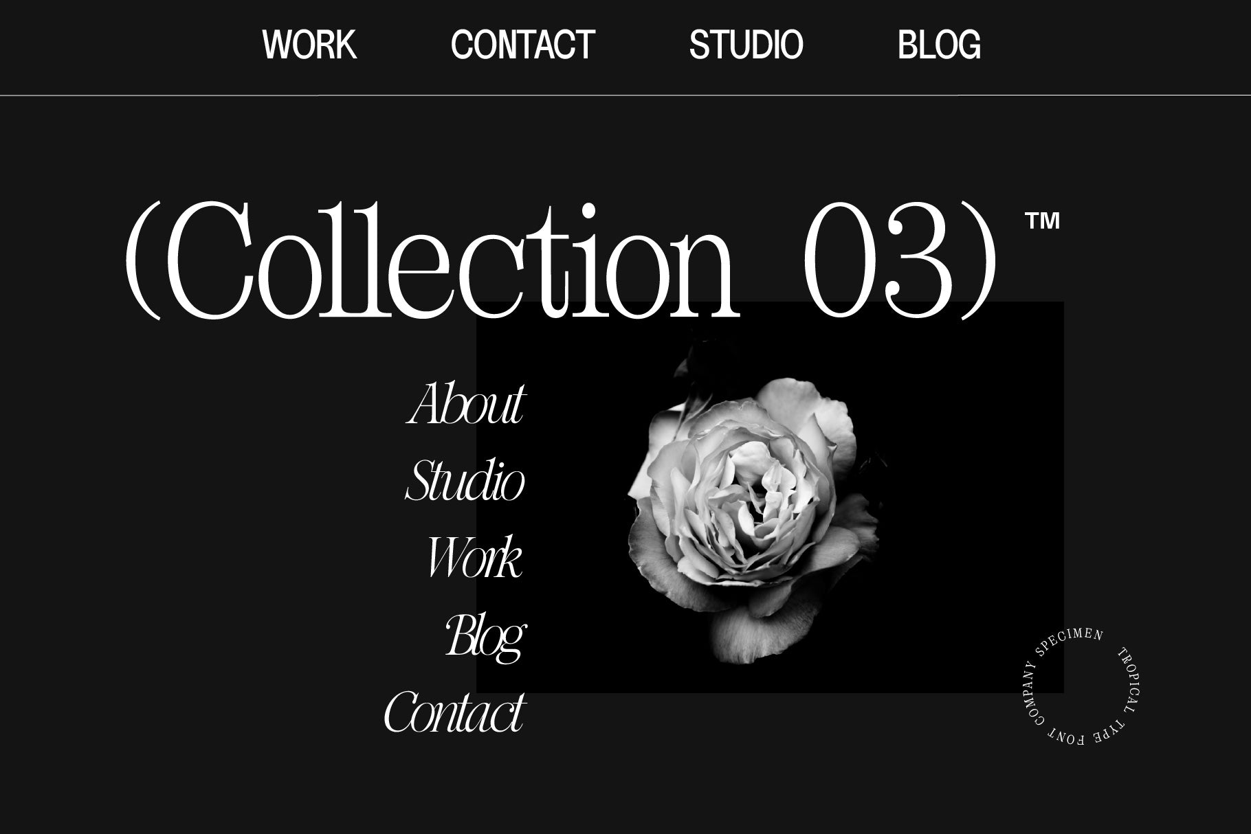 Cartica Serif