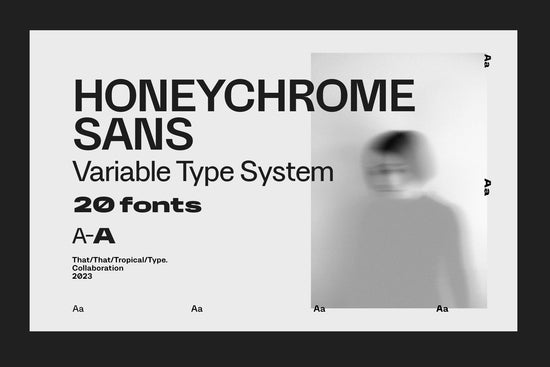 Honeychrome Variable Type System
