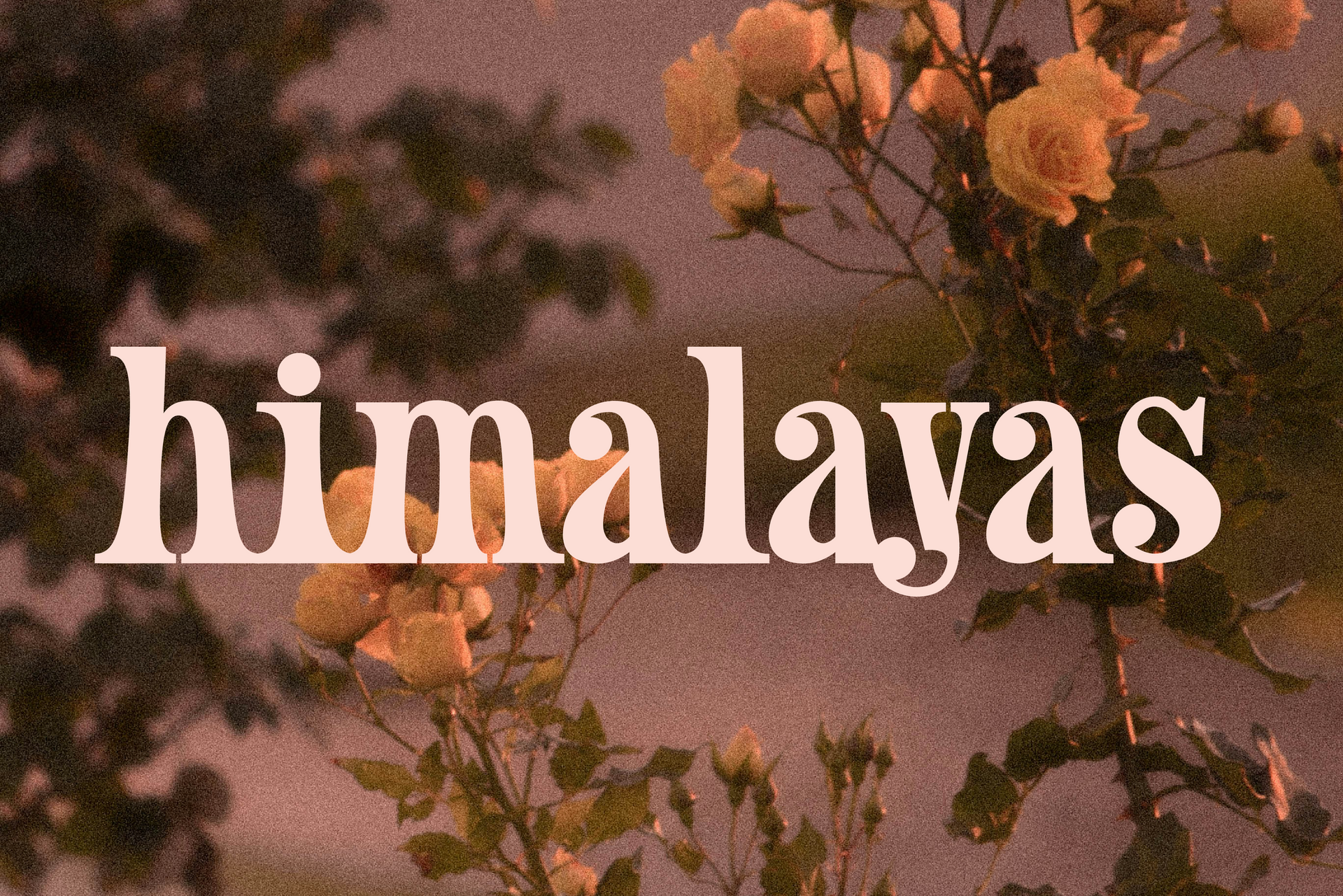 Sundown Serif