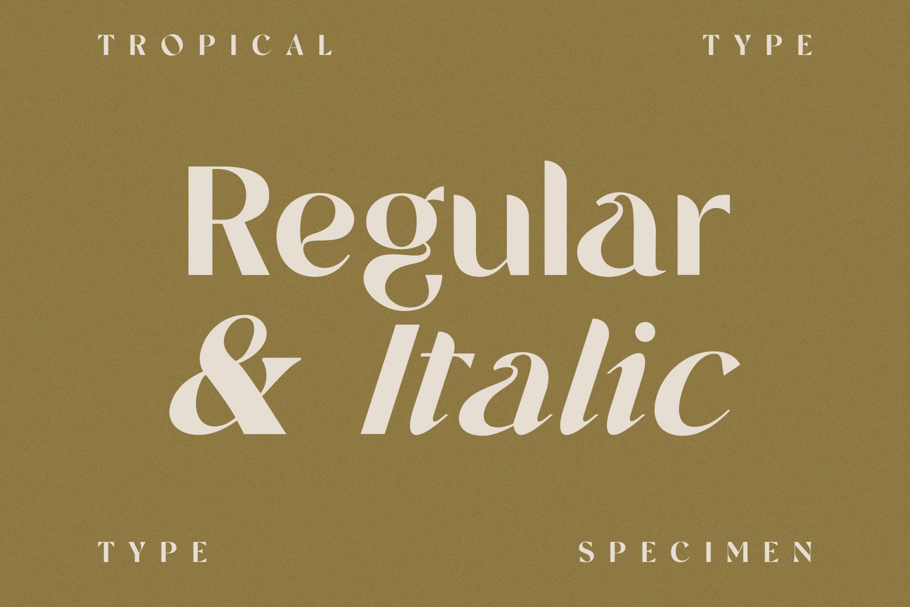 Tangerine retro 70s font  Retro font, Retro, Vintage typography